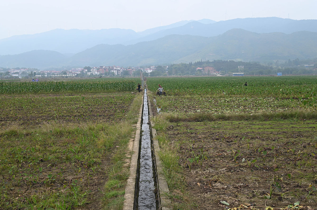 农业水利学习心得：提高效率，保障稳定，守护环境