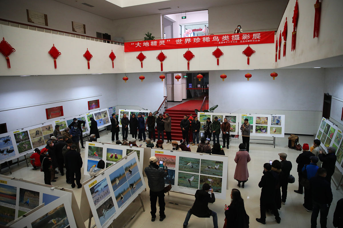 西安大唐综合职业中学美术绘画专业前景分析：就业方向、优势与挑战