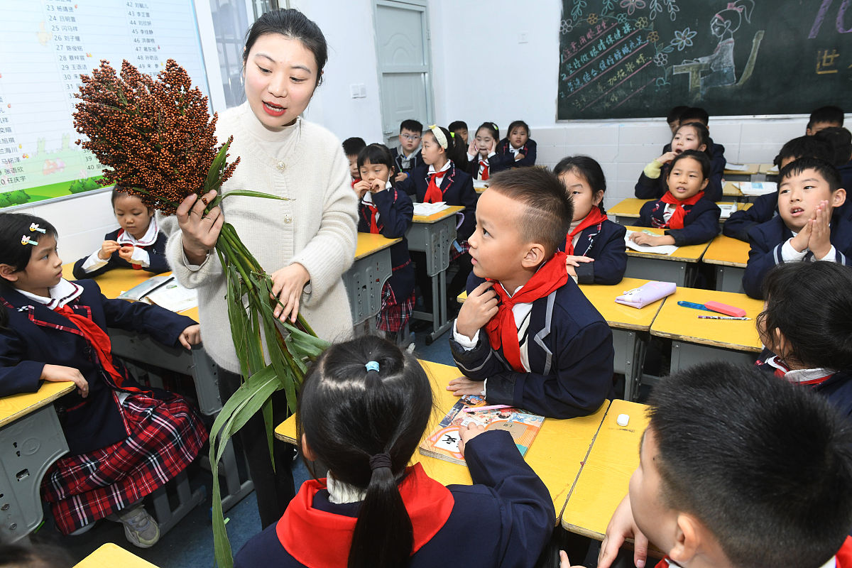 小学二年级数学思维题：干支纪年，挑战你的逻辑！