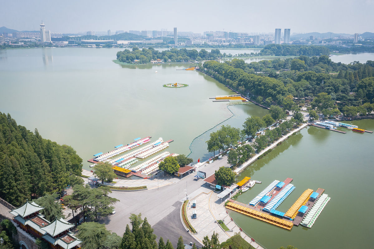 新冠疫情开始的时间