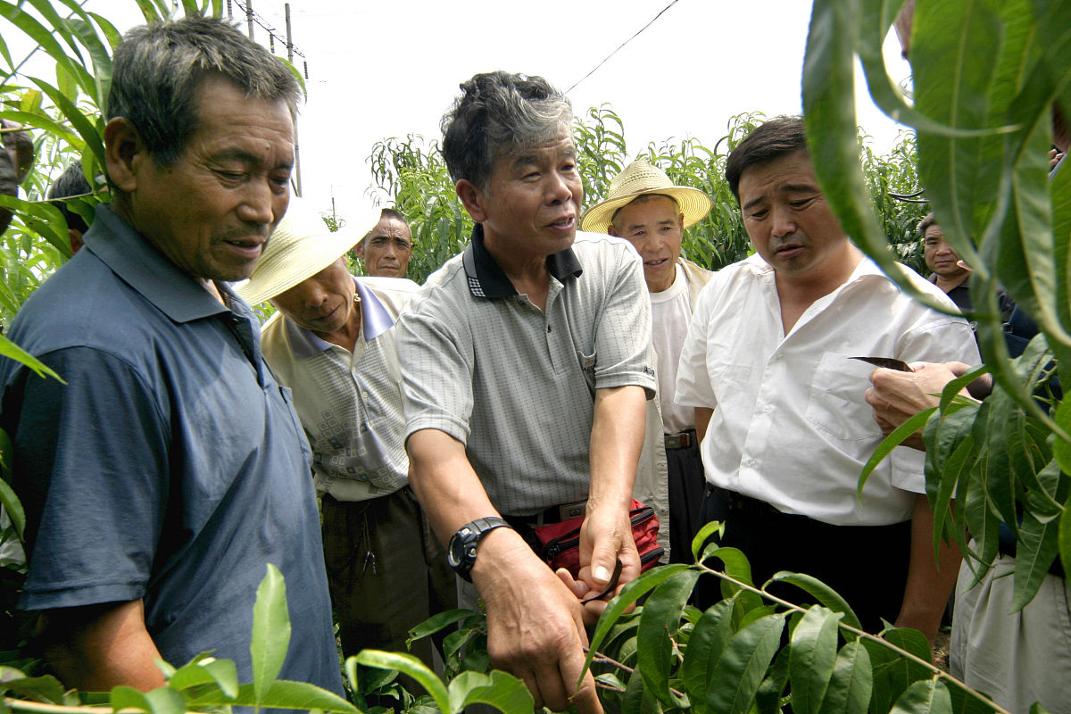 临沂农业学校招生专业设置 - 培养农业人才，助力乡村振兴