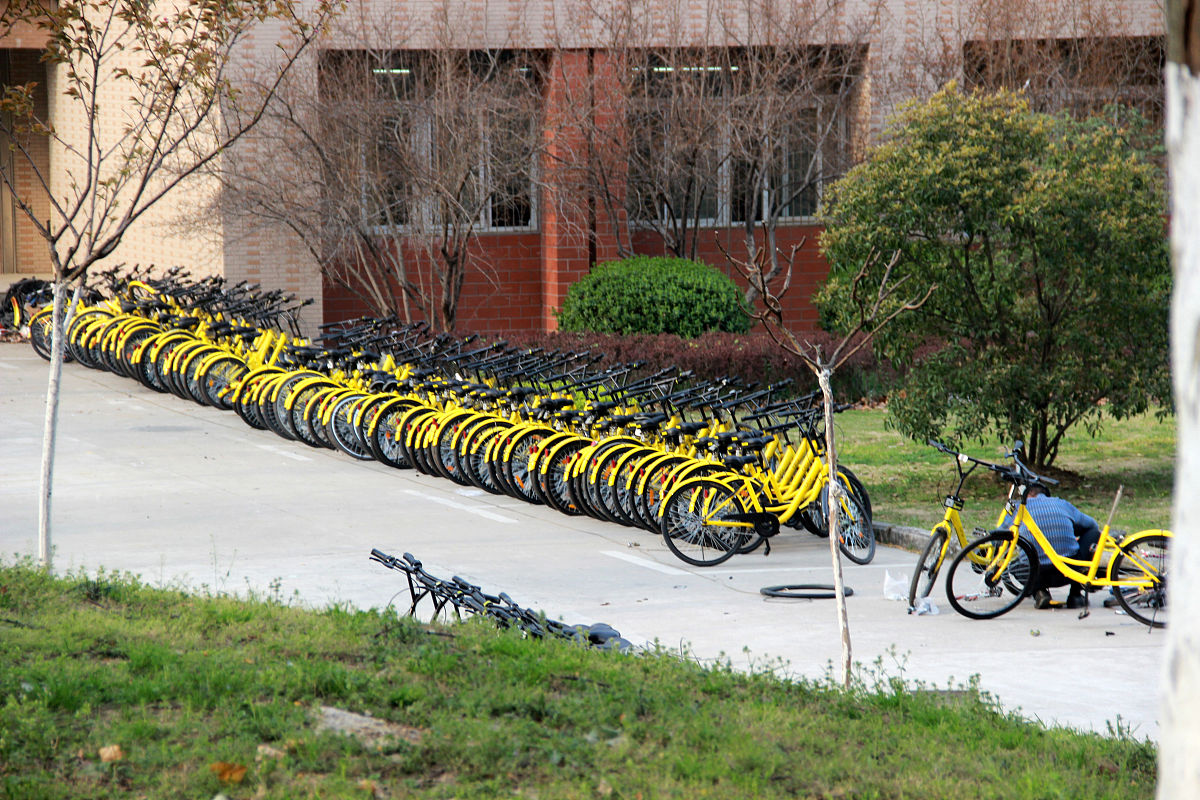 2022年合肥商贸职业学校招生简章 - 报名条件/时间/专业