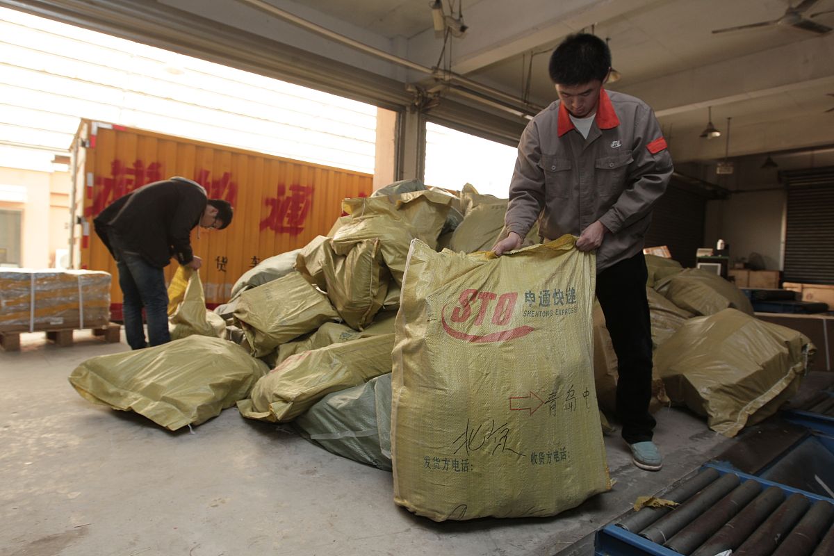 货物检验发现霉变豆 - 仓库随机抽样结果