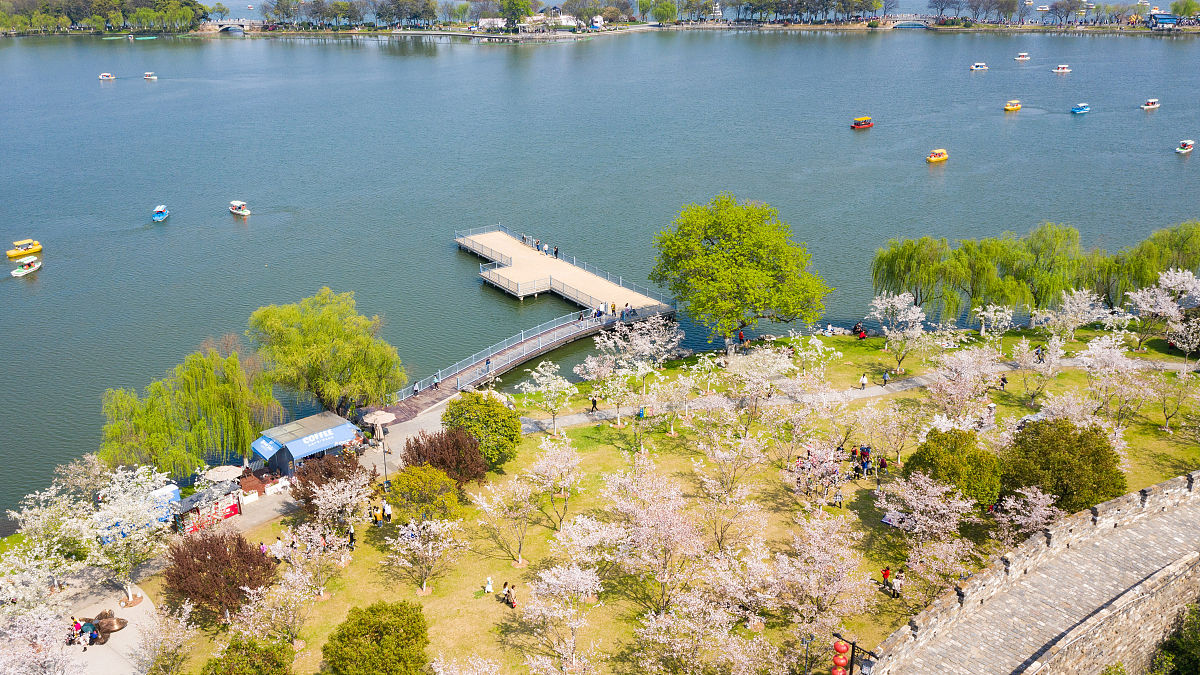 玄武湖踏青原因