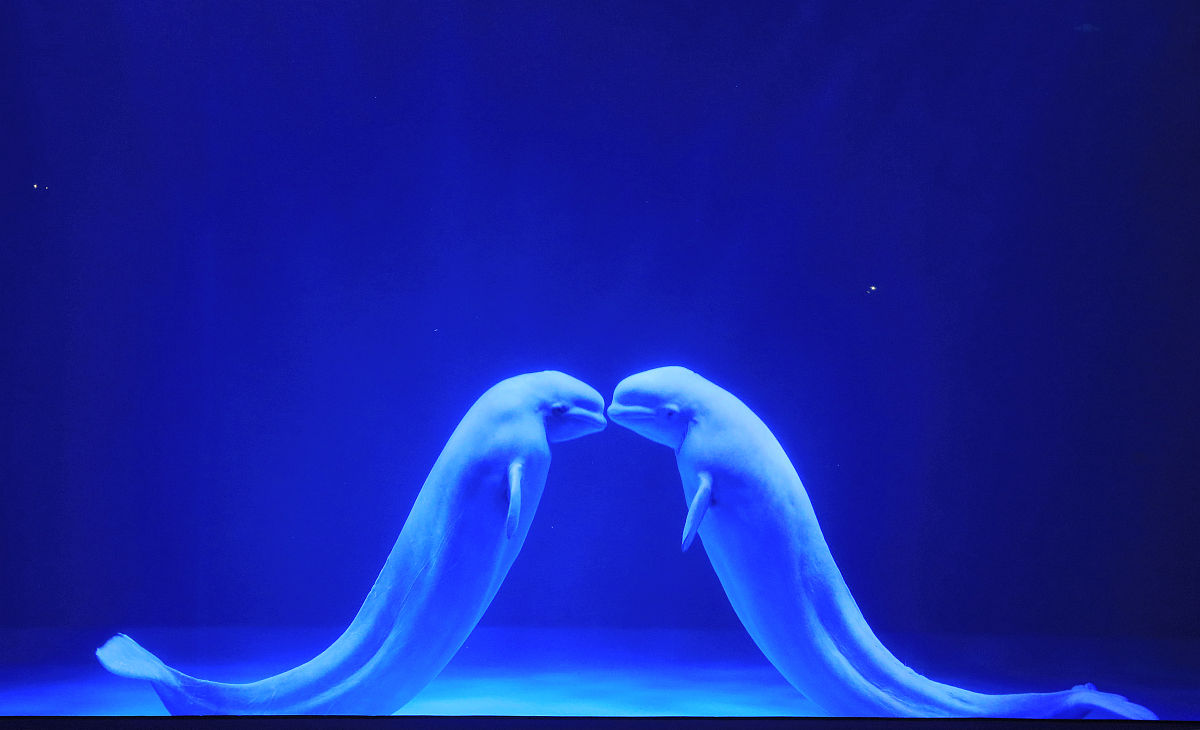 乐清市雁荡山旅游学校2023年开设有哪些专业-好不好