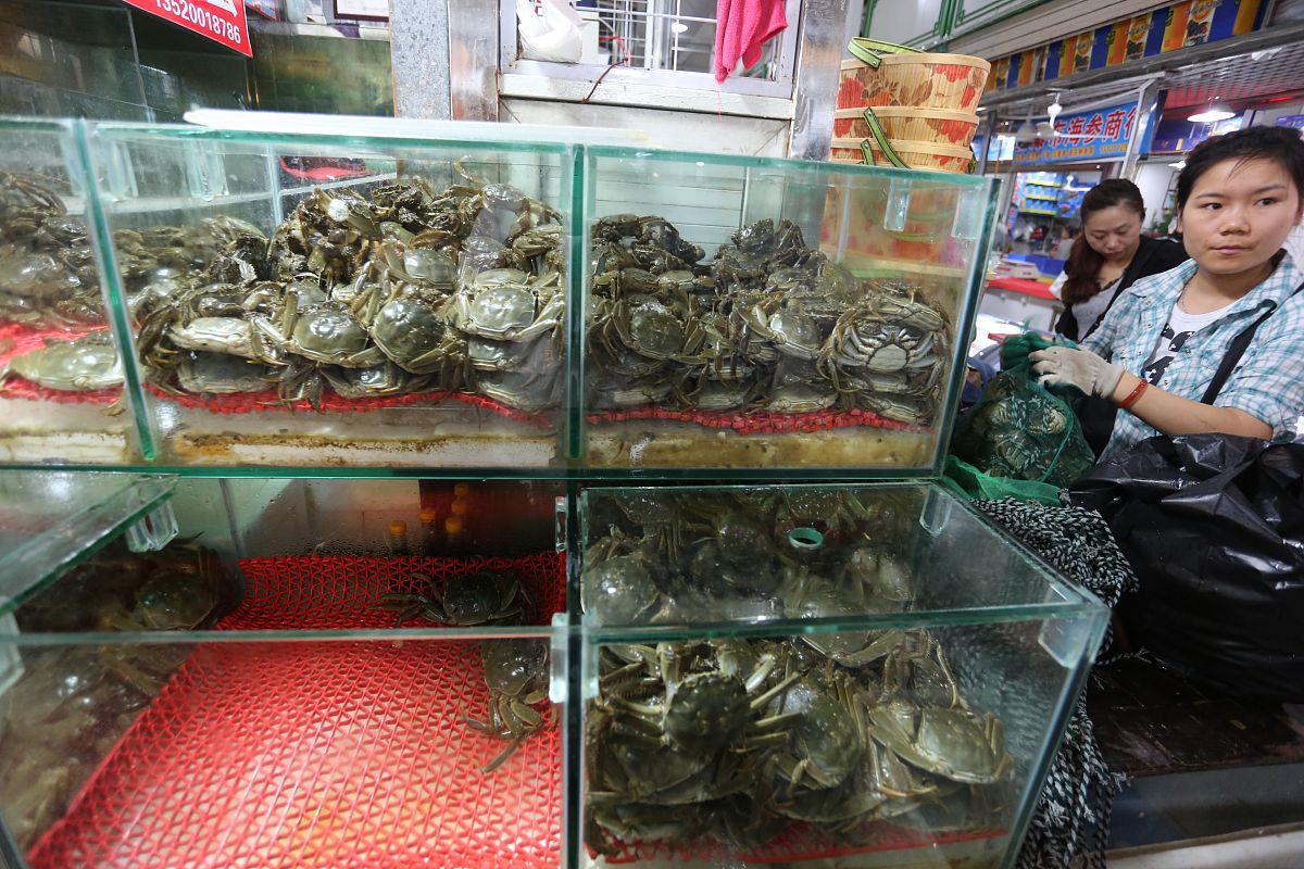 2013年09月18日,北京最大的京深海鲜批发市场内,大闸蟹,三文鱼开始热