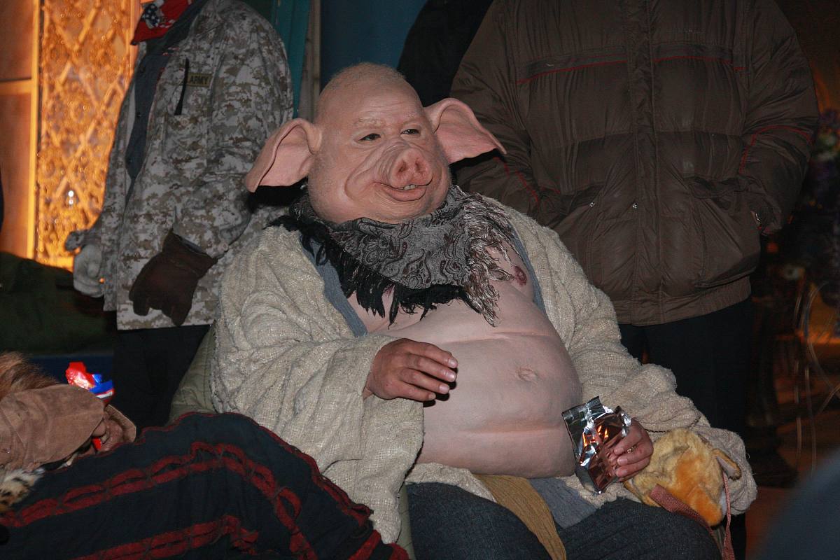 猪八戒怀孕看兽医还是看妇产科？