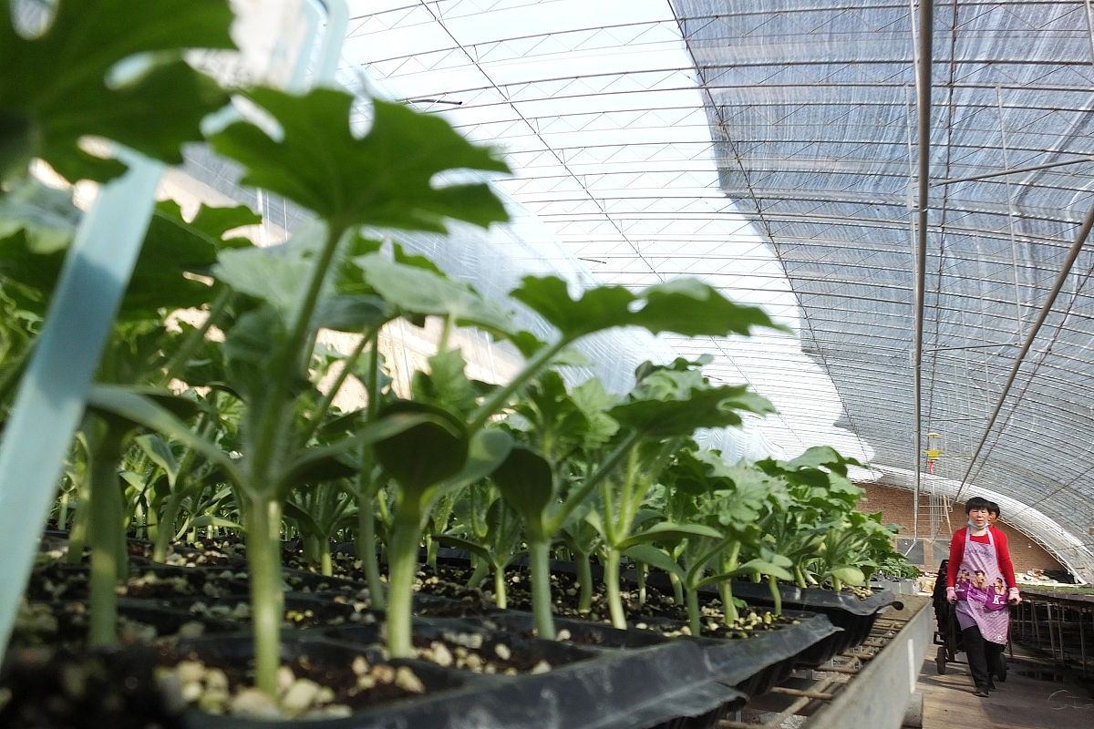 运城农业机电工程学校2022年招生简章 - 招生计划及专业介绍