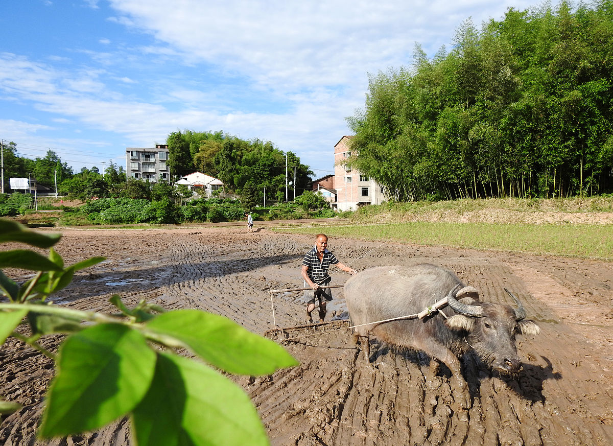 四川省渠县职业学校2020报名方式
