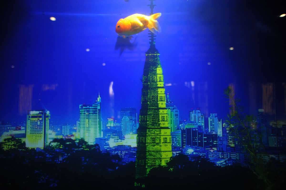 物质、意识、规律、矛盾和实践：人类社会发展五大核心要素