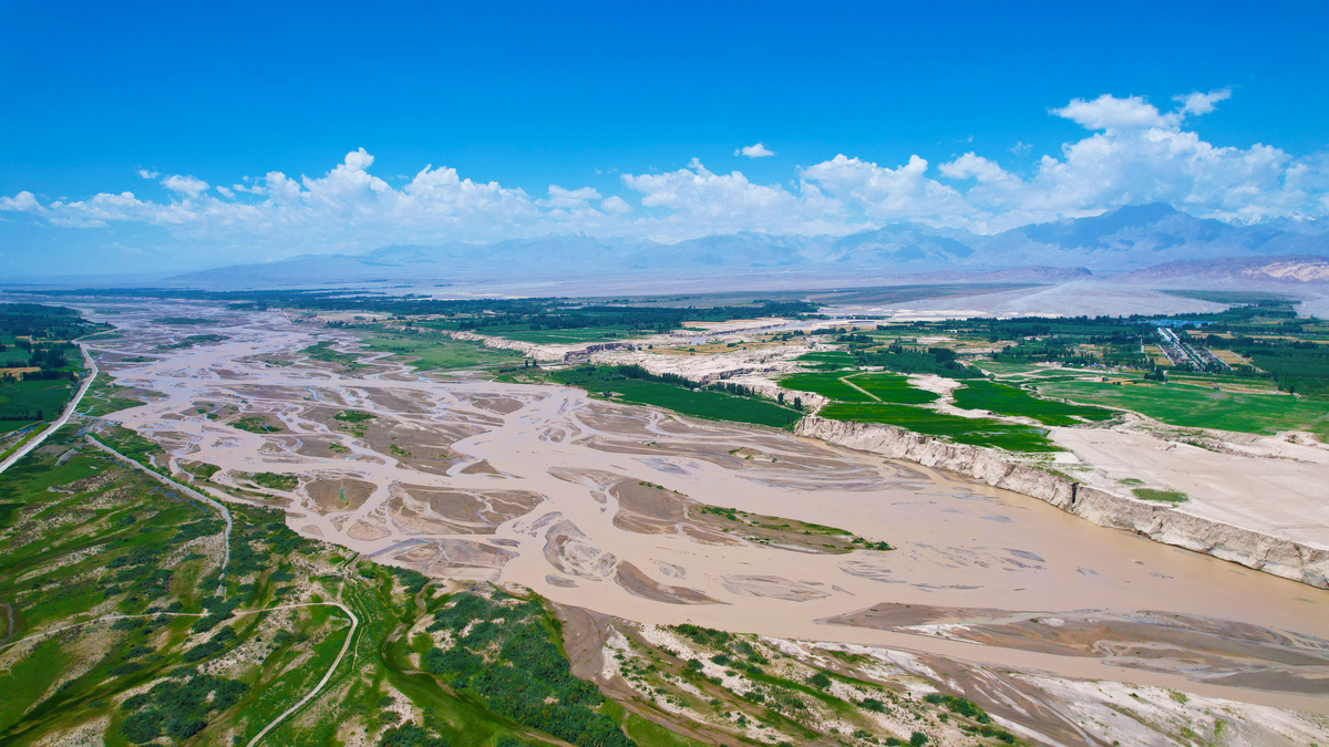 以弘扬黄河精神发扬黄河文化结合新时代黄河流域生态保护为主题的650字作文