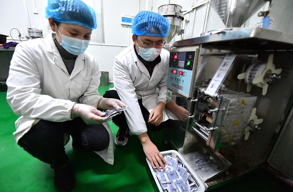 中药制药专业就业有哪些方向