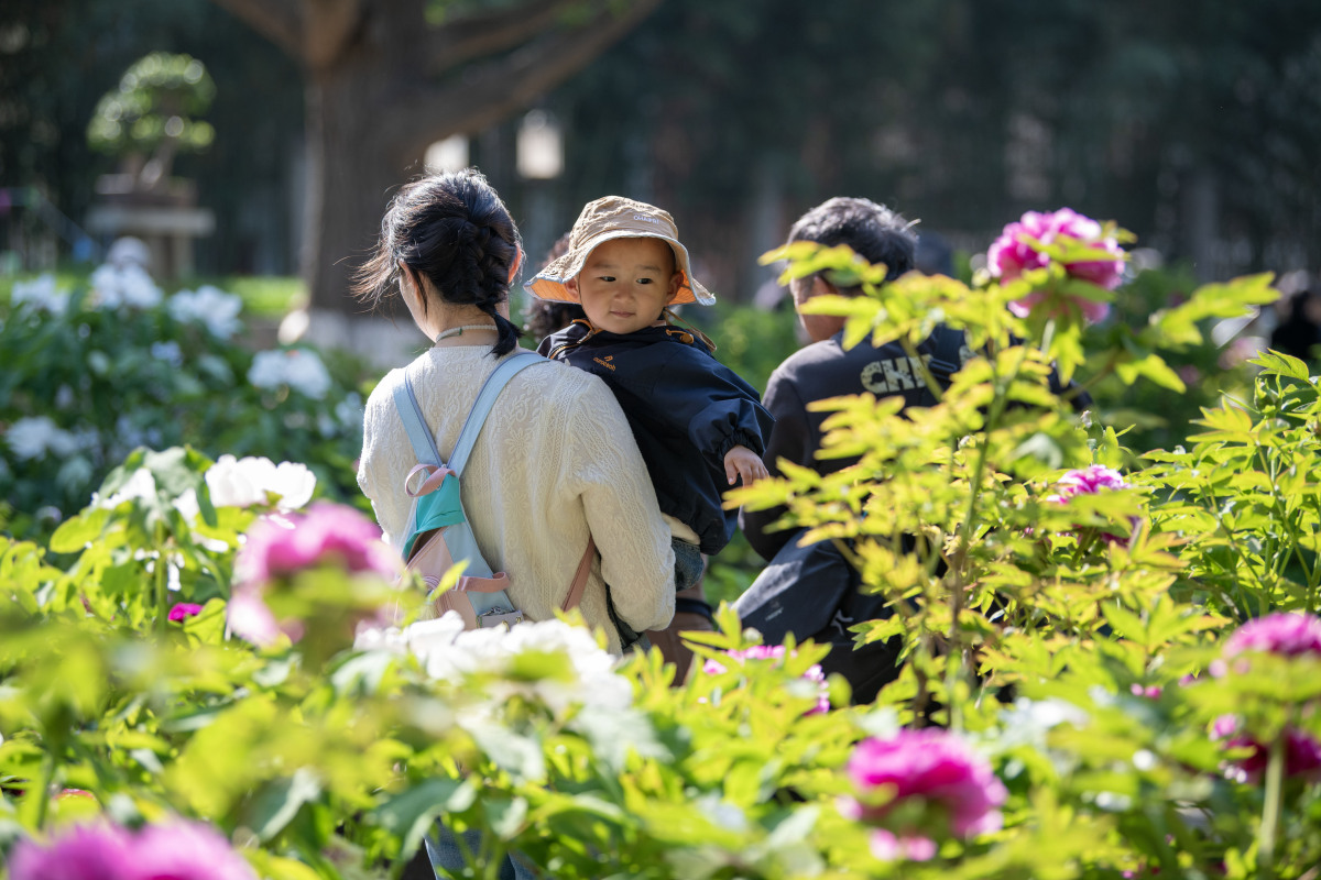 2026年4月7日,安徽淮北相山公园,游客和摄影爱好者在