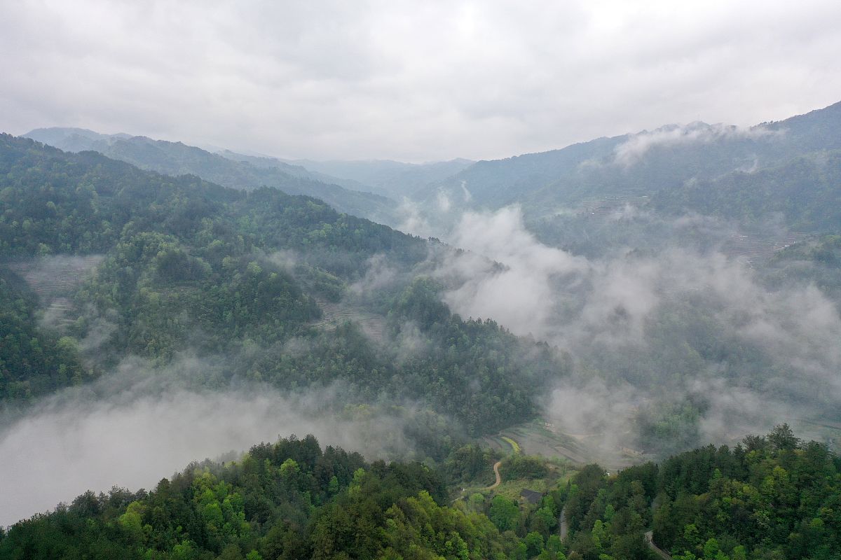 2021年临沧卫生学校招生专业介绍-医学领域的重要教育机构