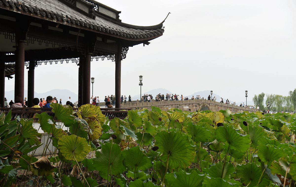 2019年10月12日,杭州,秋天的感觉越来越明显,西湖边风开始增大,气温也