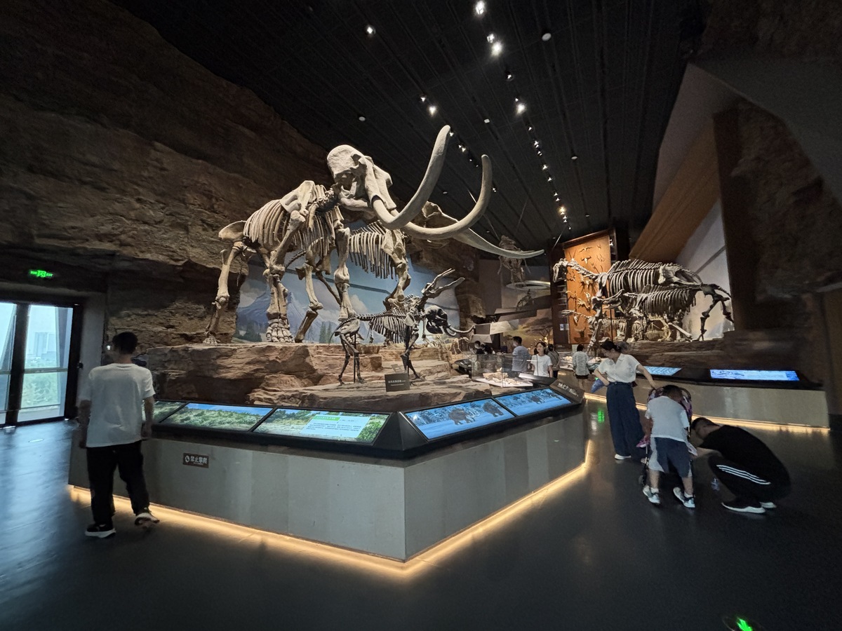 长白山地质矿泉自然博物馆展陈大纲