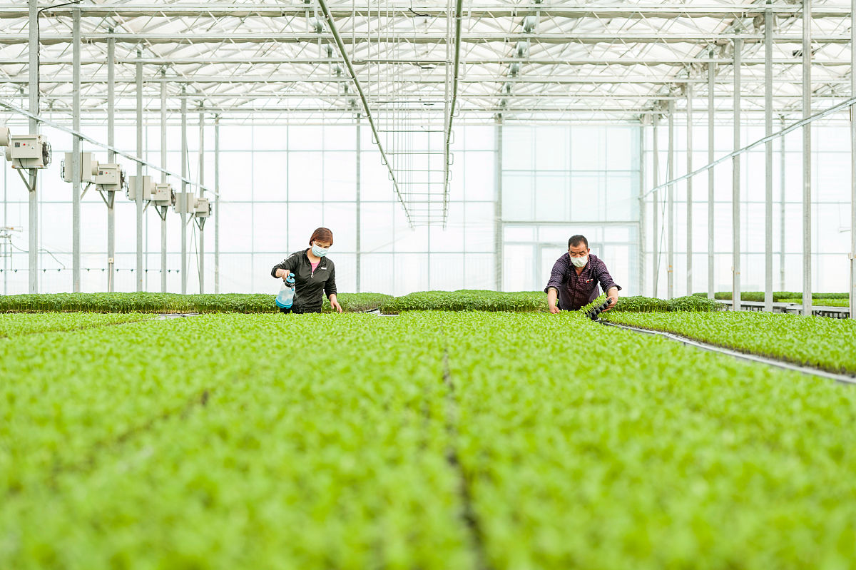 工业作物与产品期刊：研究范围与投稿指南