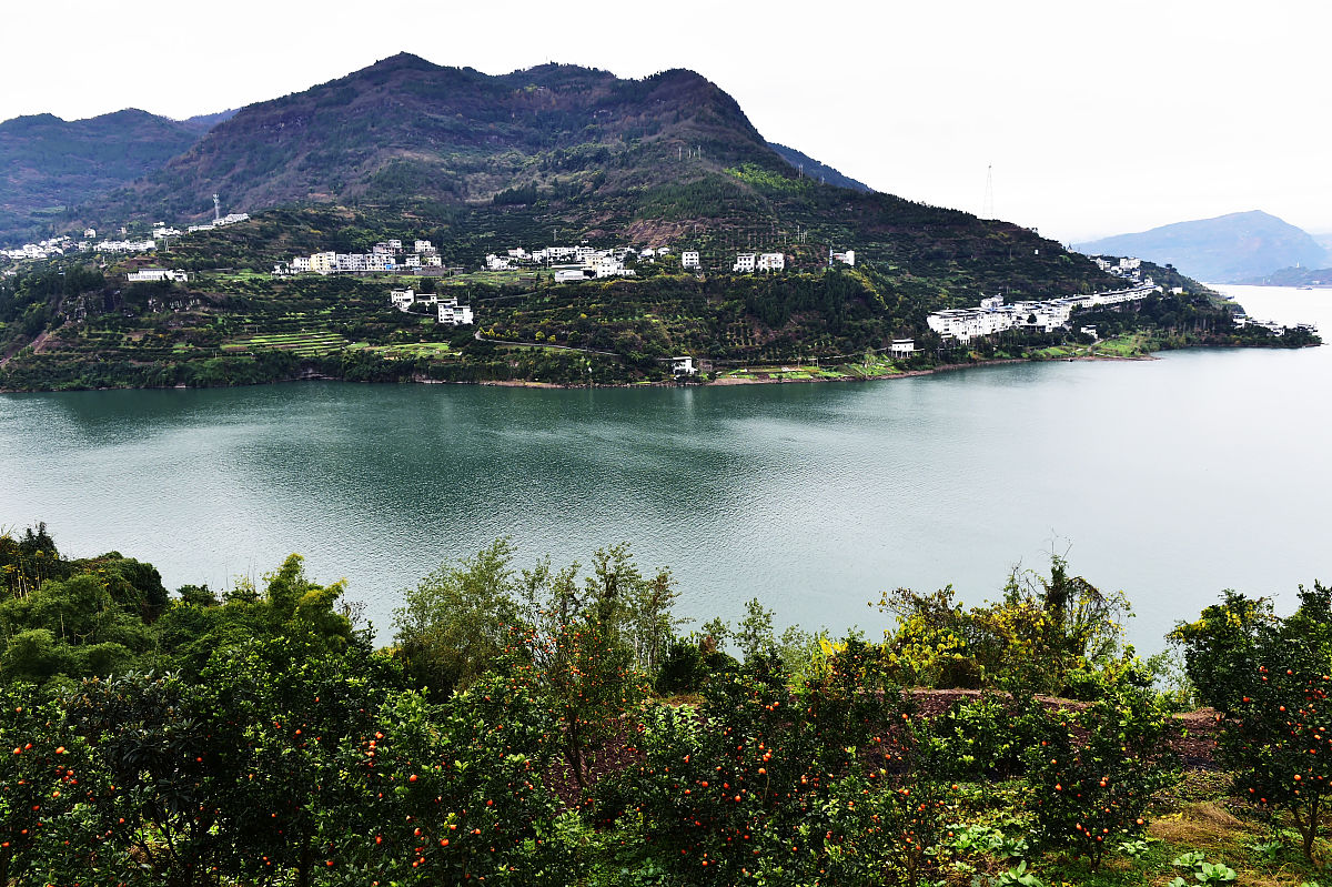 重庆卫校排名：哪个学校教育质量好？