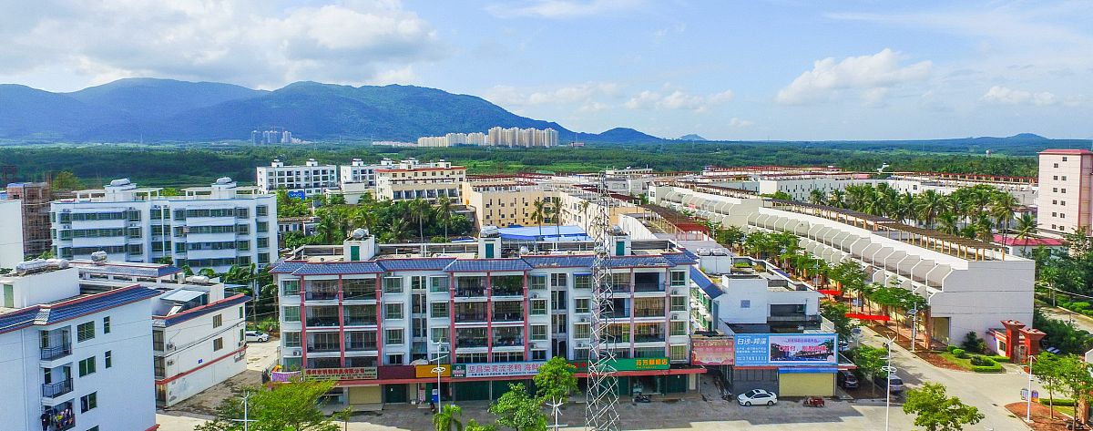 灵溪镇新港村办公大楼什么时候建的帮我用200字详细描述