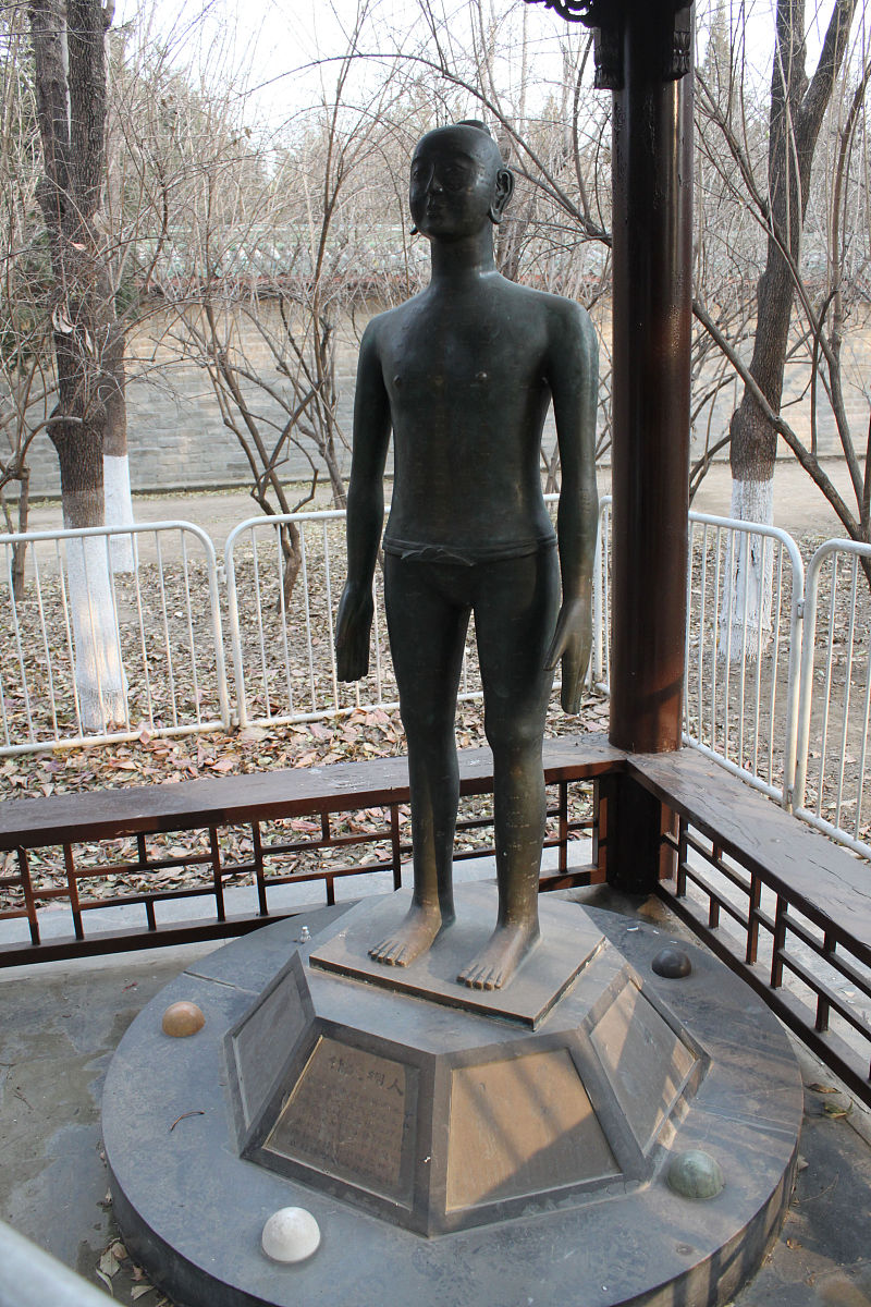 开封市中医药学校2022年专业介绍：中医药学、针灸推拿学等