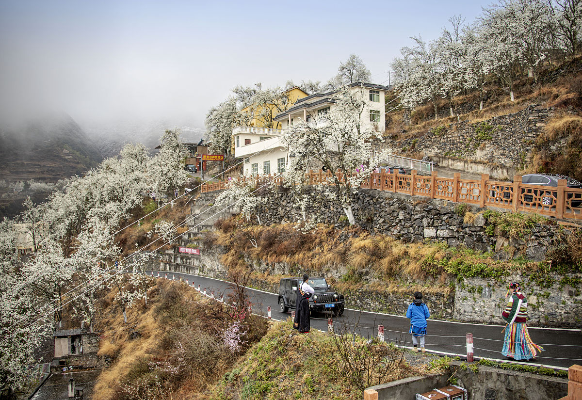 凉山卫校2019年招生简章：医学人才培养的摇篮