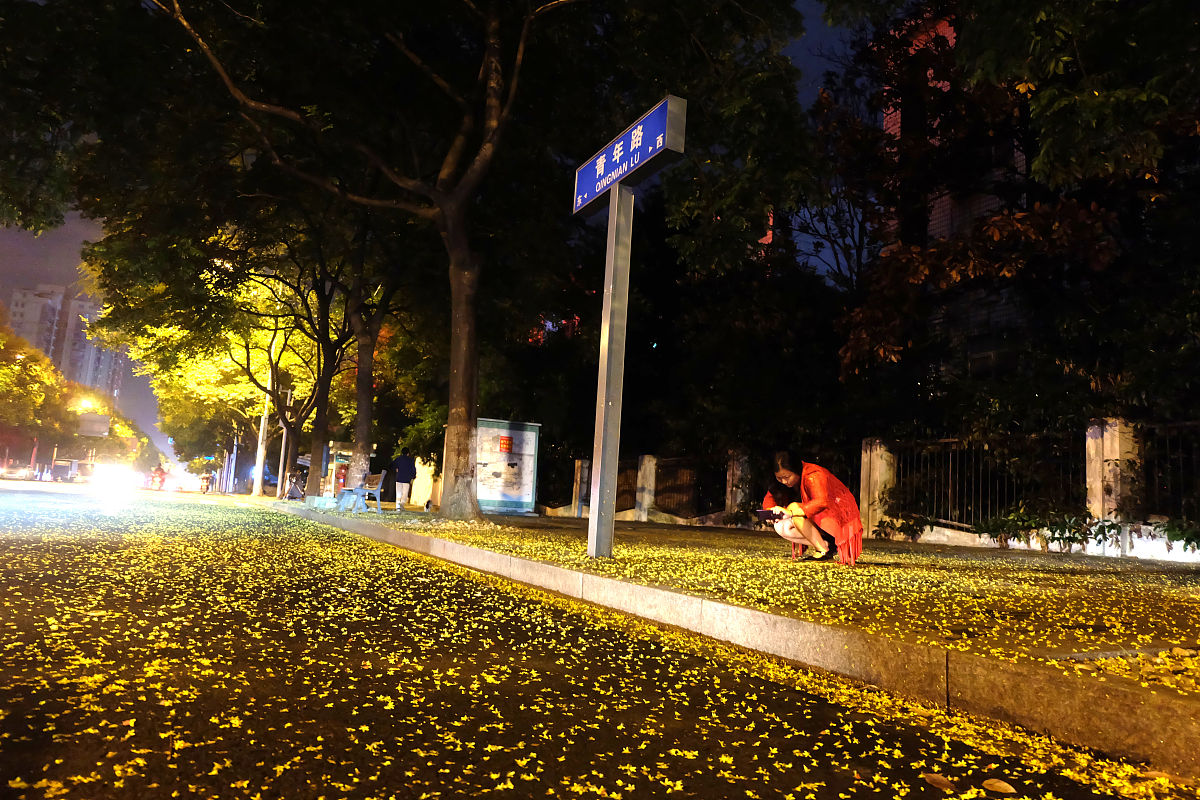 常德卫校2022年招生简章-报名条件/招生计划/录取分数线