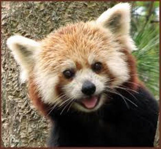 分享你的笑话：有什么好笑的事可以让我开心一下？