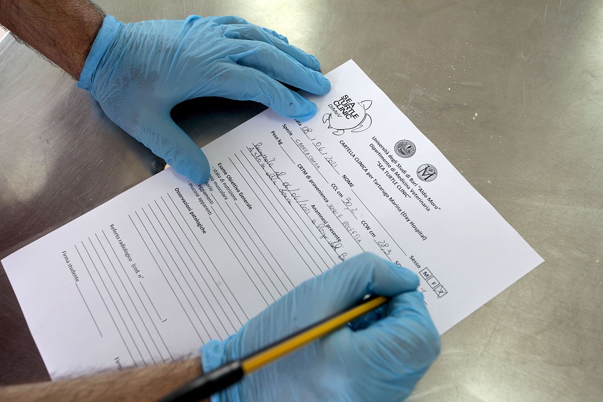 邯郸2022年卫校要多少分-好麽