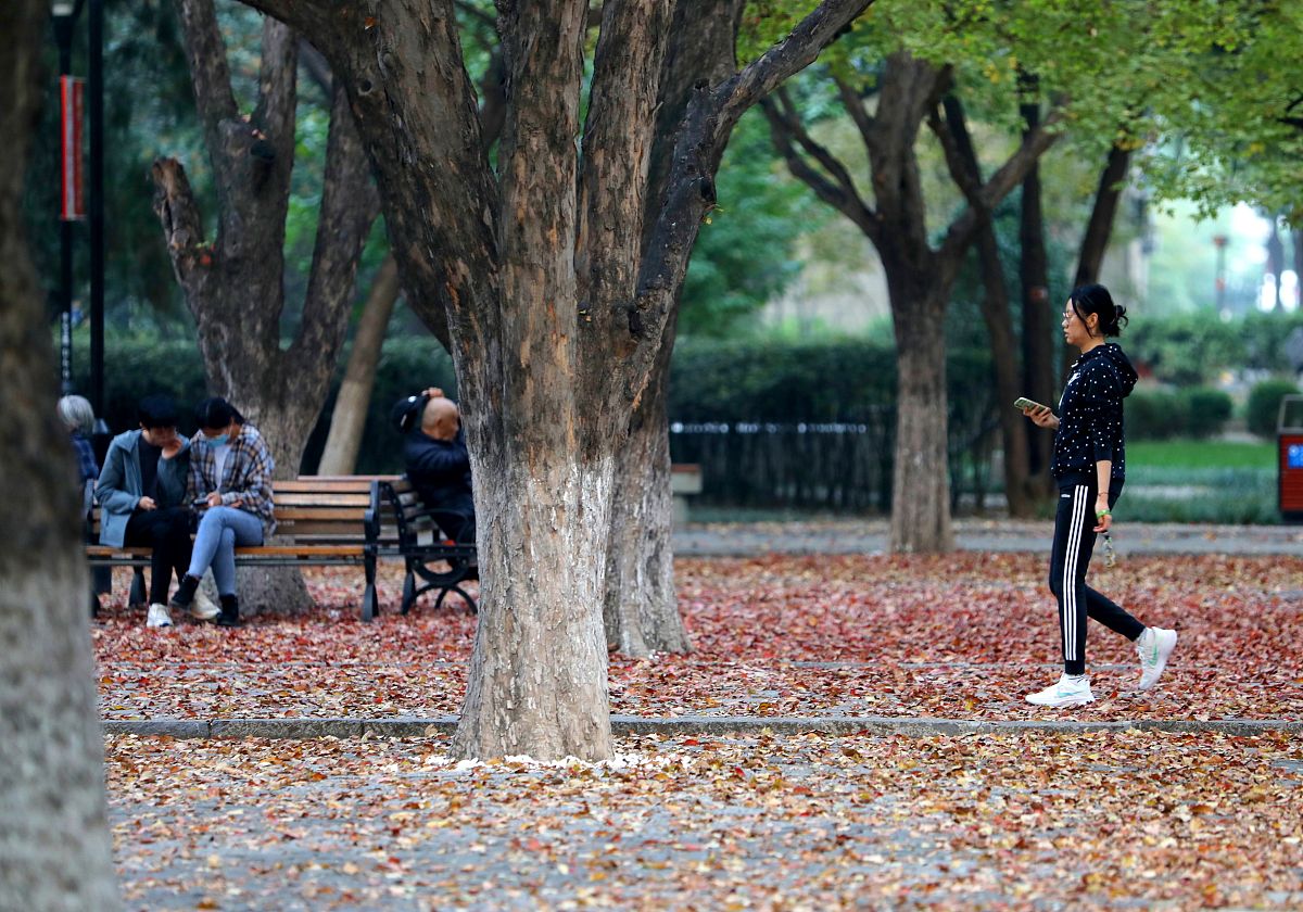 山东医学高等专科学校药品经营与管理专业优势及发展前景