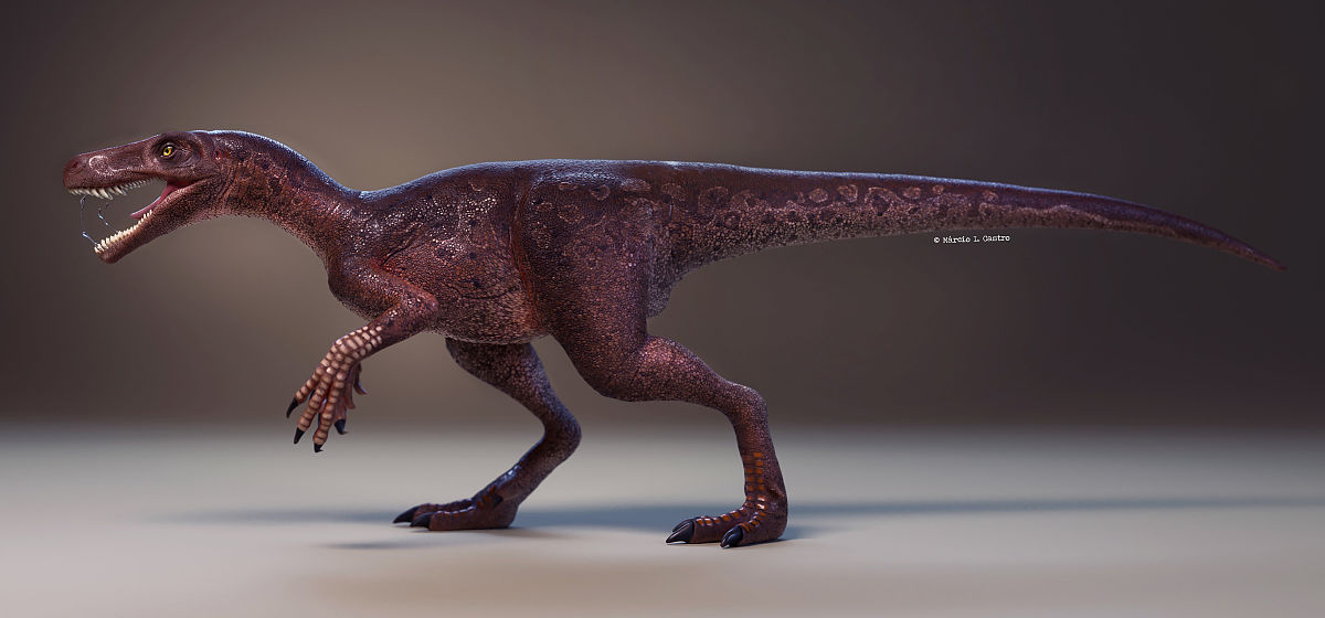 JOURNAL OF SYSTEMATIC PALAEONTOLOGY: 研究范围与内容概述