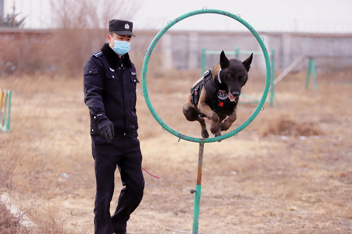 甘肃银行学校2021年热门专业是哪些