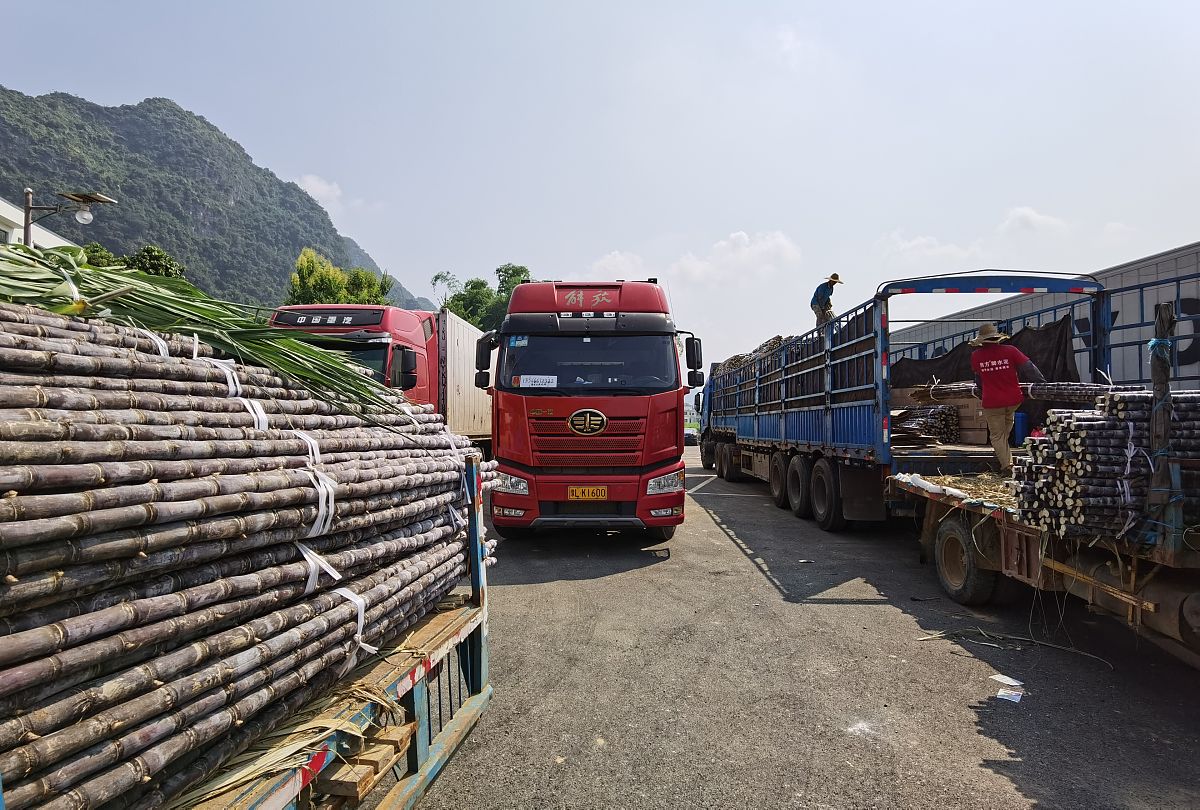 1 屯等于多少斤？不同时期、地区、行业的重量差异