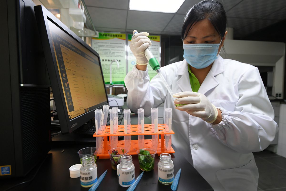 中药形状鉴定实验室：揭秘中药鉴定的奥秘