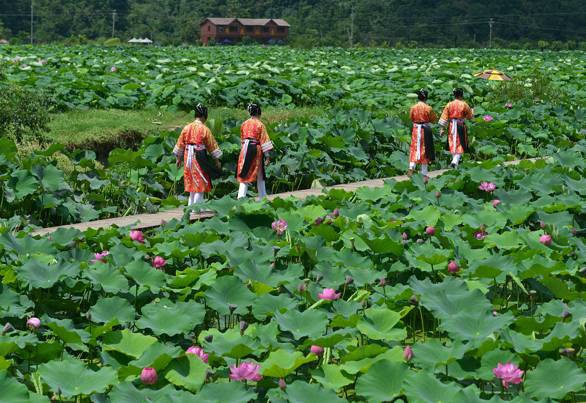 贵州农业职业学院有哪些专业电子技术应用专业就业怎么样