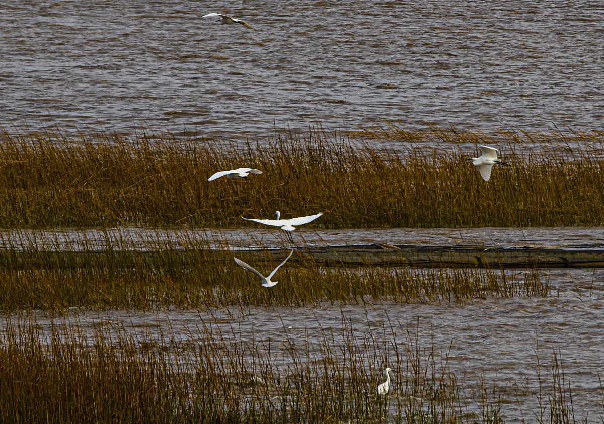 盐城工师范学院建军东路校区2022年招生简章