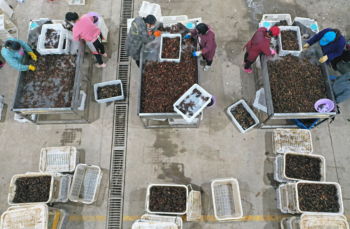 双流县华阳职业高级中学地址在哪里