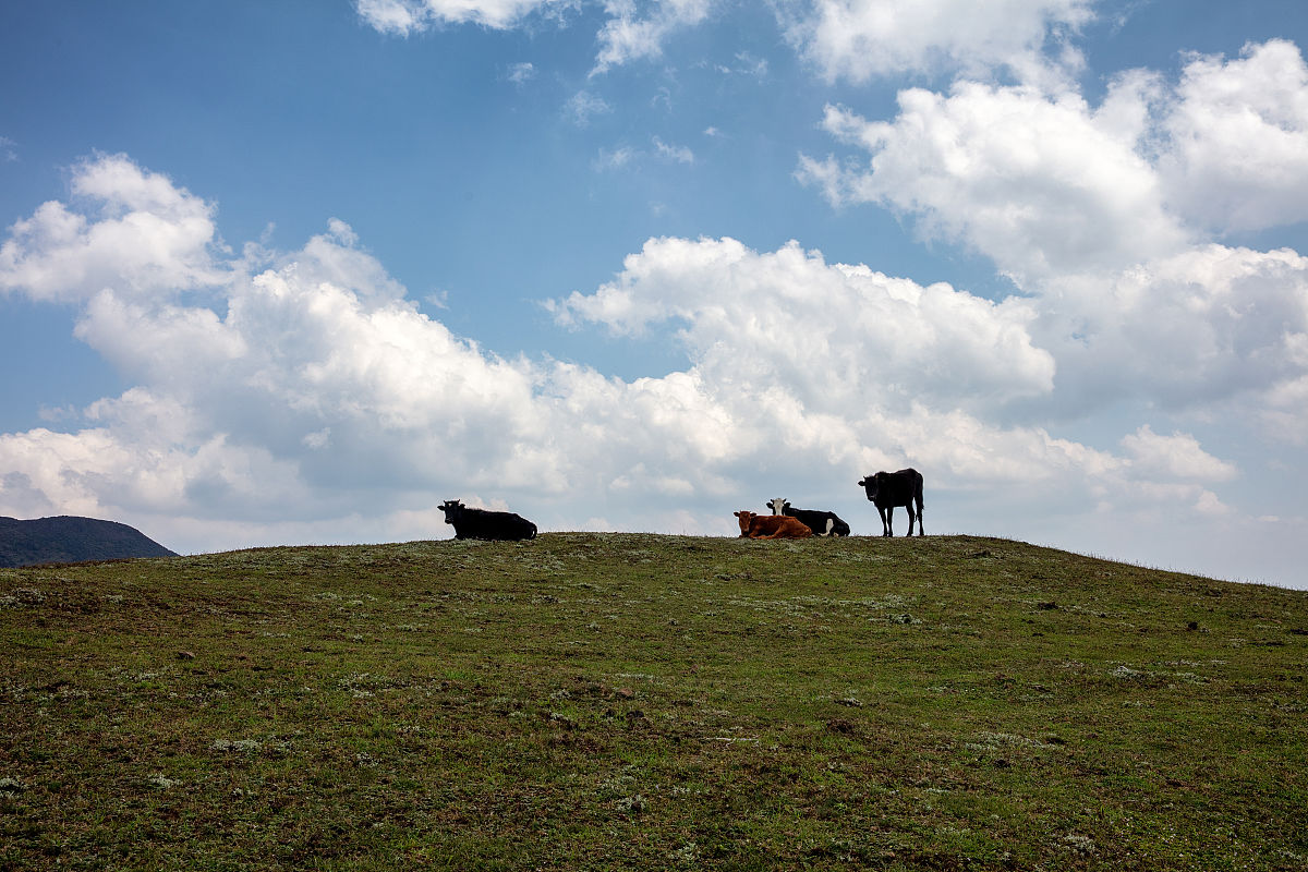 贵州六盘水防水防腐保温工程专业承包二级资质新办指南