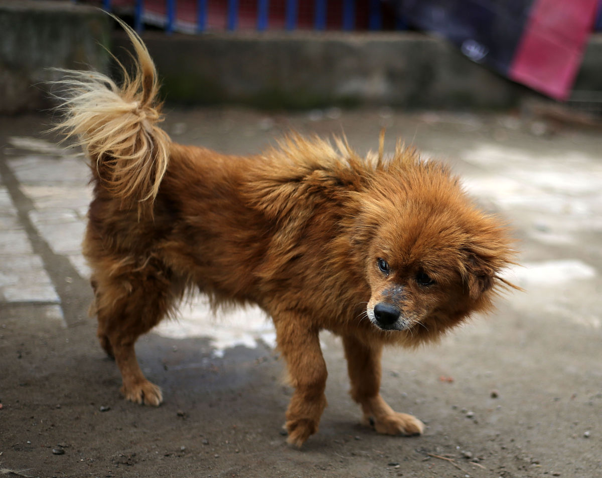 感谢自己选择积极乐观：文言文表达