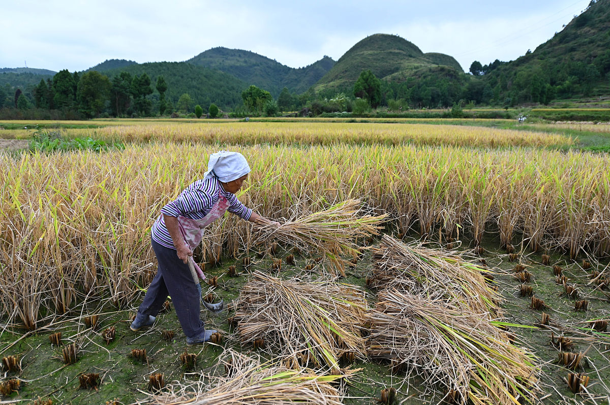贵州有什么中专中职学校的幼儿教育专业好 好不好