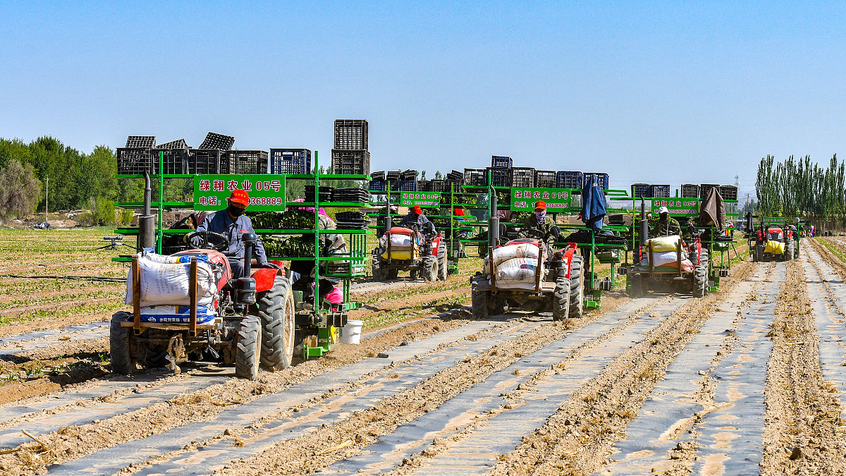 泸西县农业机械化技术学校2022年有哪些专业