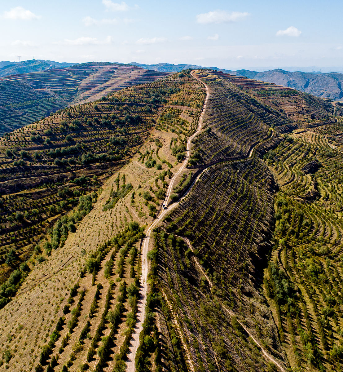 定西市土地利用变化对生态环境质量的影响分析