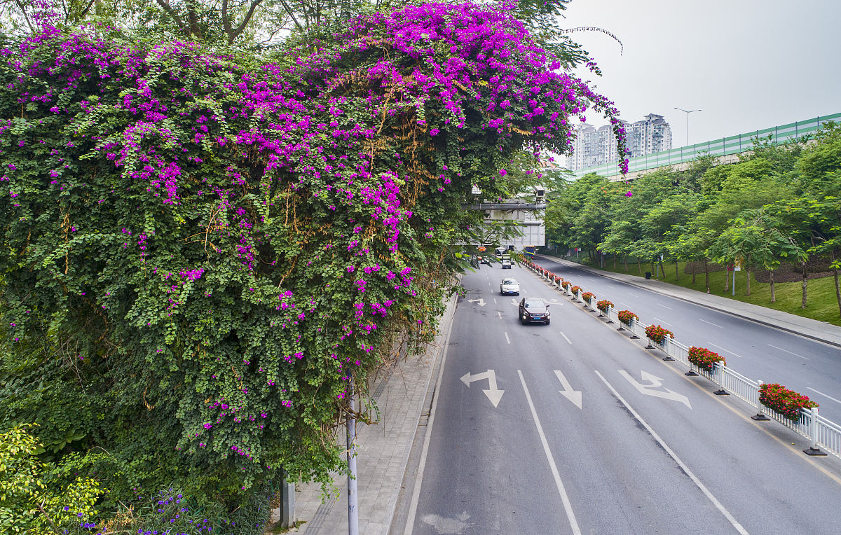 广州市白云工商技师学院2022年招生简章 - 报名指南