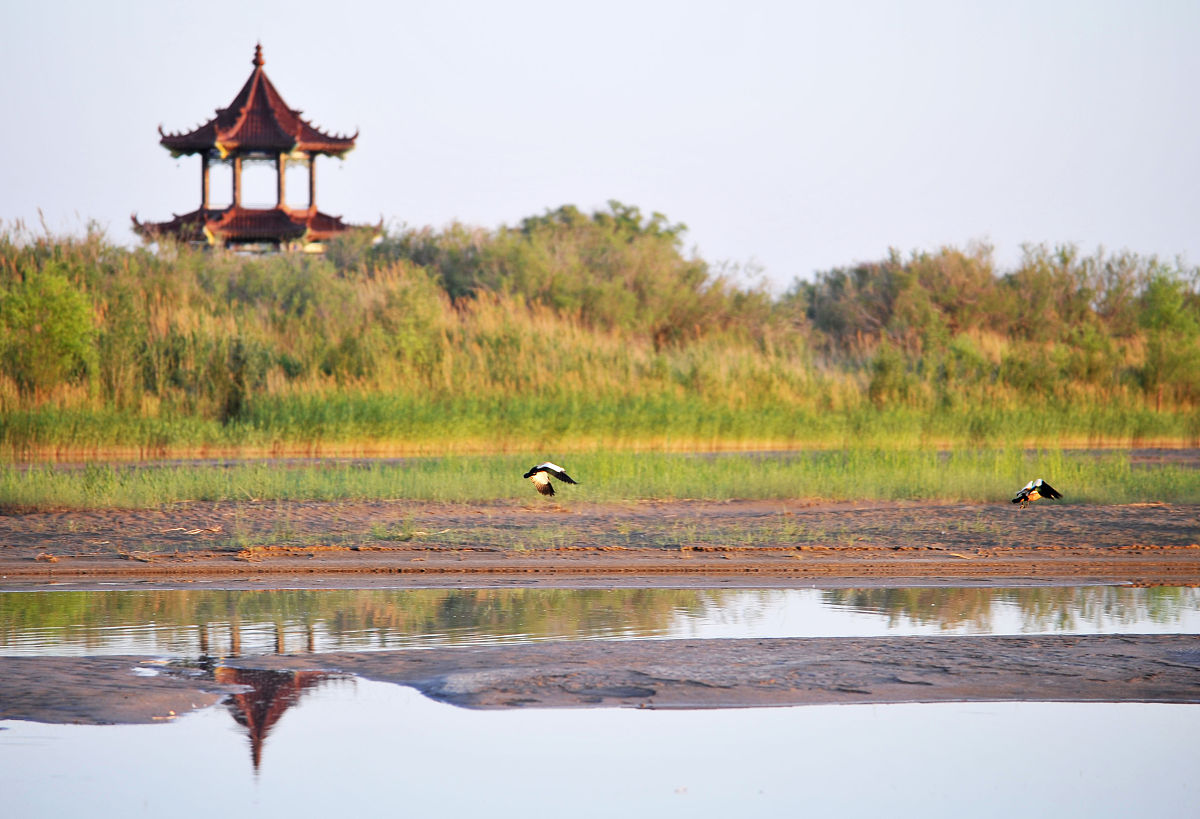 云南省水利水电学校2022年招生专业：水利工程、水电工程等