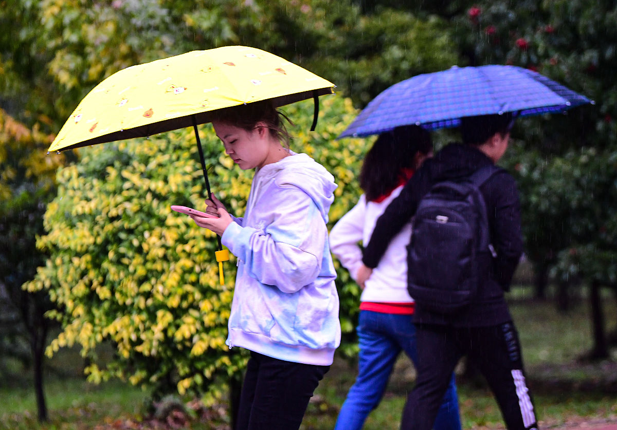 劝诫学生下雨天要带伞第一句是清明时节雨纷纷下一句怎么写？