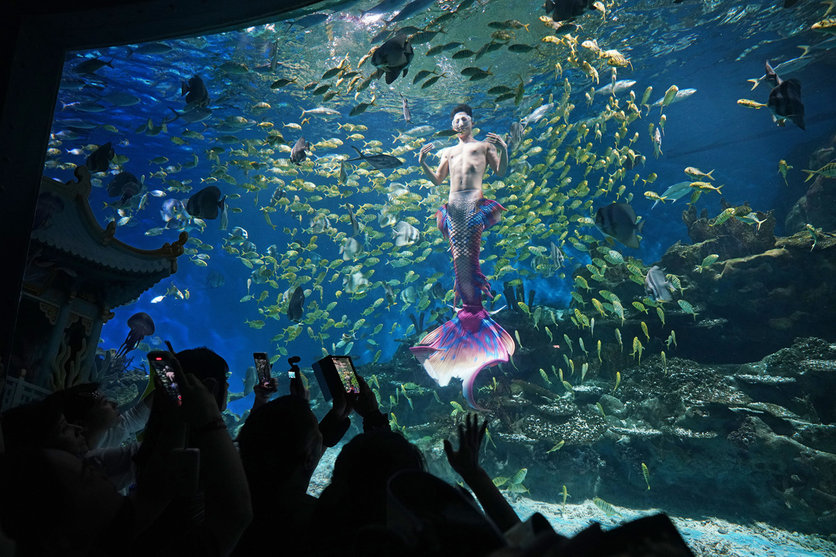 《海洋环境保护法》解读：违规排放污染物将承担哪些法律责任？