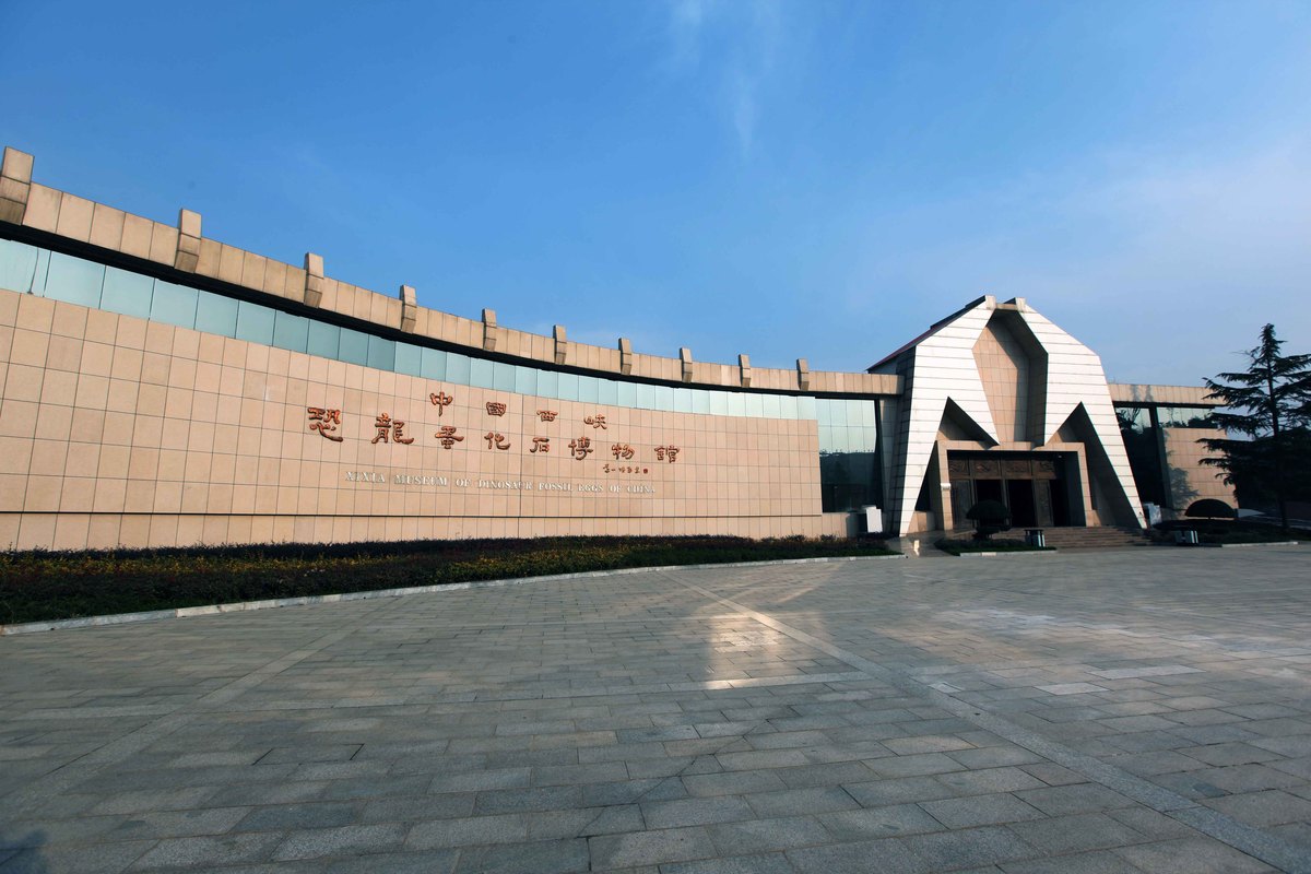鲁西南战役纪念馆参观感悟：缅怀英雄，珍视和平
