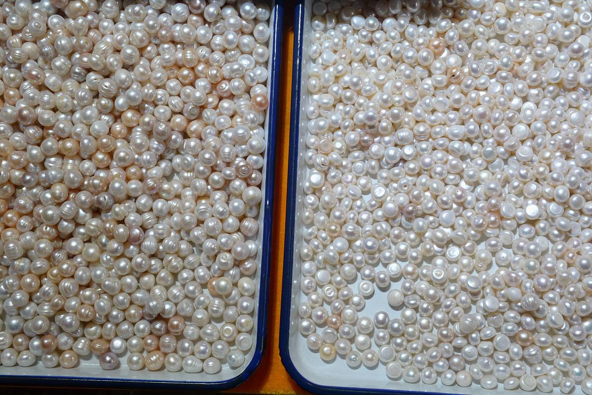 免烧生物陶粒：探寻最佳命名方案