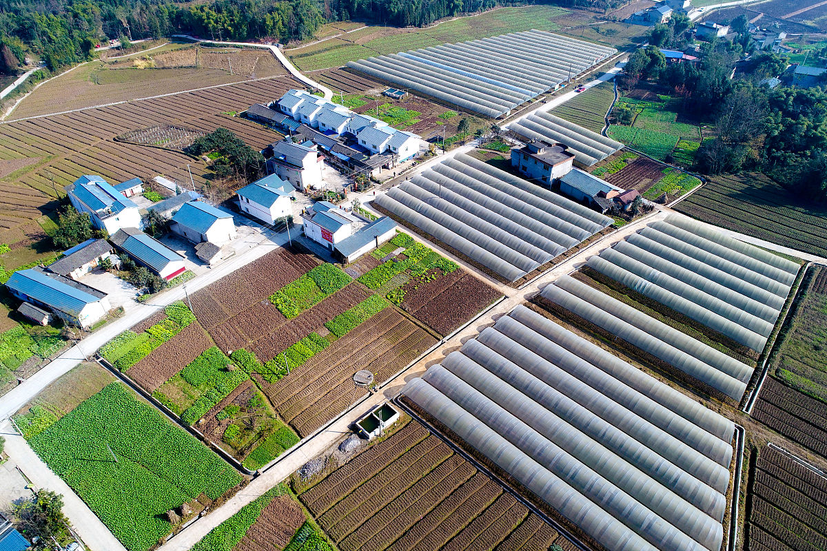 绵阳理工学校2019-平面广告设计招生中专+大专
