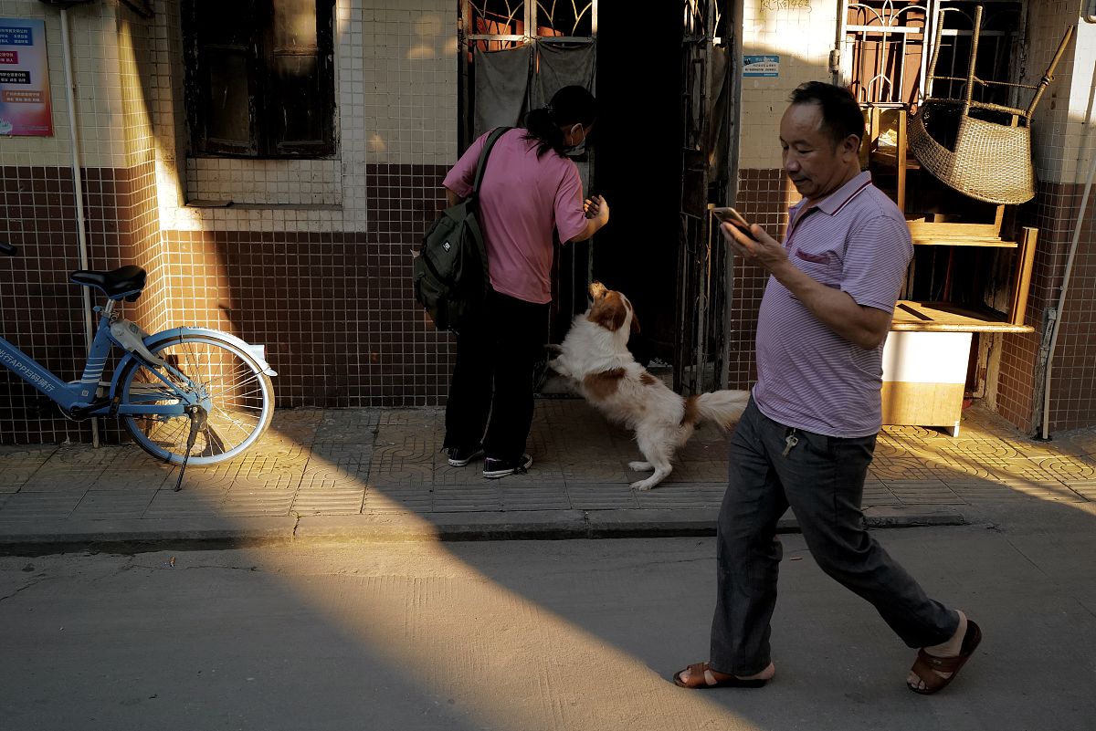 上学路上的趣事：小狗追尾巴、街头艺人、纸风车