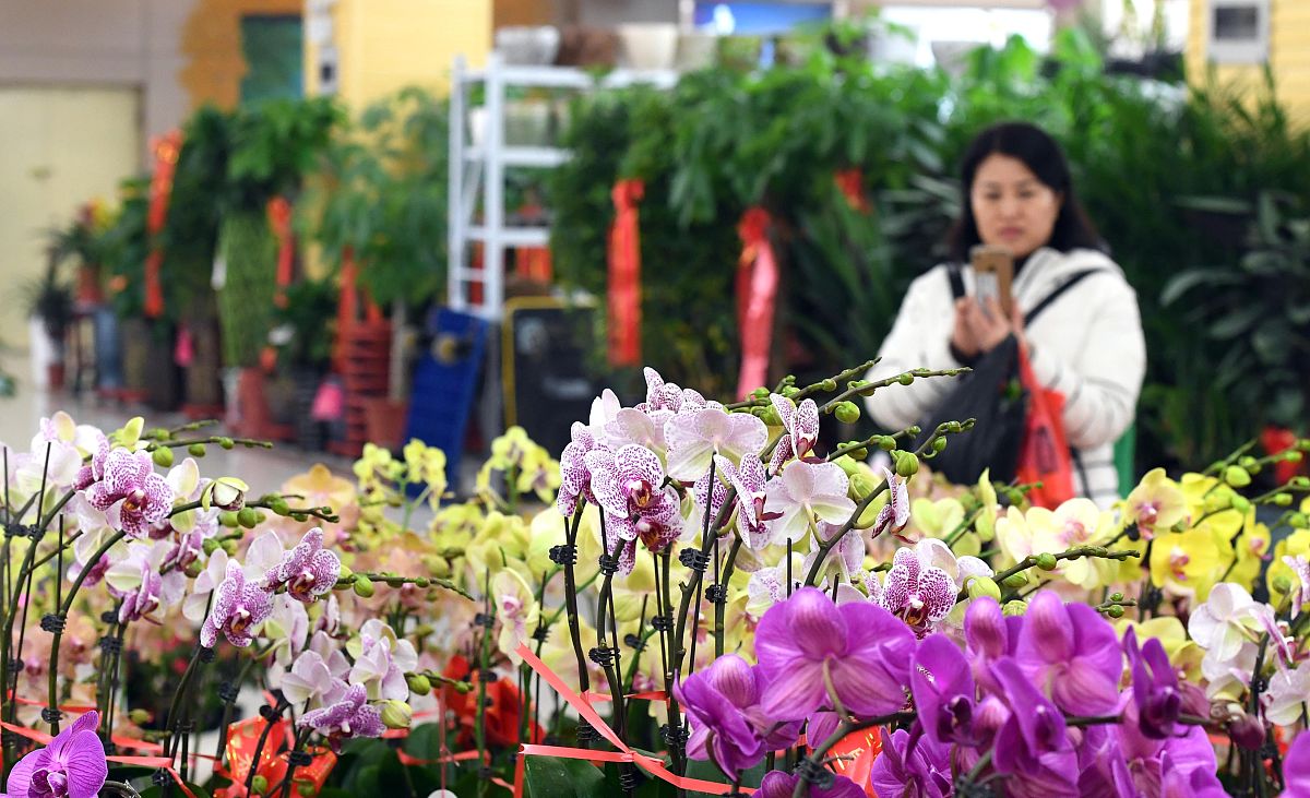 四川时代花木职业学校2022年招生简章